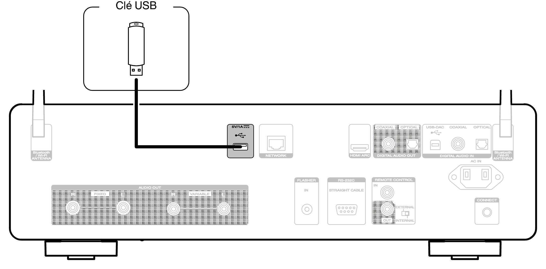 Conne USB Rear CD50n